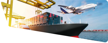 Swift Transit Logistics